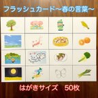 作品右脳が目覚める‼︎ フラッシュカード　春50枚