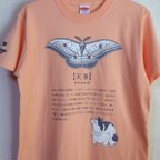 作品【猫とやままゆ】アプリコット　意外と愛好家も多いヤママユガです★和柄Ｔシャツ専門店★Tシャツ工房三宝堂