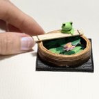 作品ミニチュア:睡蓮鉢とカエル miniature: biotope bowl& a frog