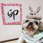 作品🐇干支・卯　ウサギさんの帽子