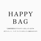作品(イヤリング)HAPPY BAG