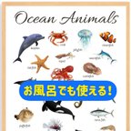 作品お風呂でも使える！海の生き物ポスター英語　モンテッソーリ