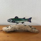 作品清流のサカナ