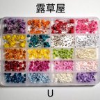 作品●更に小さめ花材セット『小U』ケース入り ハーバリウムボールペン レジン●