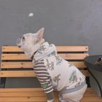 作品オーダー犬服 えりまきトカゲパーカー カーキブラウン