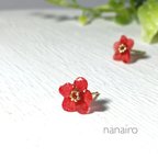 作品【再再…販】押し花のピアス/イヤリング