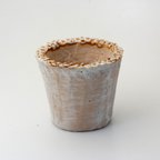 作品陶器製（2号ポット相当）　多肉植物の欲しがる植木鉢 NSSS-8857
