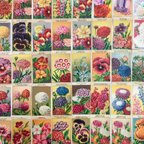 作品フランス 花のクロモスカード 50枚 海外 紙もの ジャンクジャーナル 素材 雑貨 06012-21