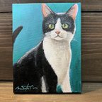 作品油彩画　白黒の猫