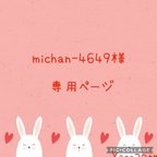 作品michan-4649様専用ページです♪