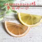 作品☆naonaonaonao様専用ページ☆