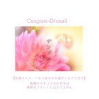 作品Congrats-D/small ポスター【写真サイズ、パネル加工をお選びいただけます】