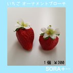 作品❁送料無料❁ いちご ｲﾁｺﾞ 苺 strawberry ｼﾝﾌﾟﾙ ｵｰﾅﾒﾝﾄﾌﾞﾛｰﾁ