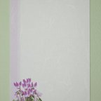 作品アートな花のポストカード　第四集　『冬の花』