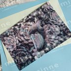 作品おススメのトリ（はしびろこう＆しまえなが）のポストカード　Postcard　(Hashibiroko & Shimaenaga)