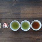作品のみ比べ♪基本の緑茶５種セット　ご家庭用