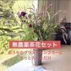 作品送料込　新鮮【秋の茶花】切り花セット　無農薬山野草花束ブーケ昔遊び記念日にフレッシュグリーン生花ドライにネコポスでポスト投函