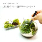 作品【スターターキット】LEDライト付ボトルテラリウム　作成キット 14cm 苔セット