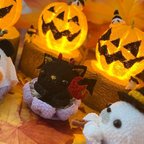 作品ハロウィン限定！！