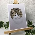 作品No.8「猫」ポストカード2枚セット