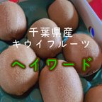 作品【ヘイワード】グリーンキウイフルーツ　大箱24個〜入り(大)追熟済