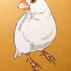 作品ペット似顔絵・小動物