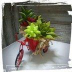 作品真っ赤な自転車いっぱいの多肉植物の寄せ植え　ペーパーフラワー　クレープペーパー