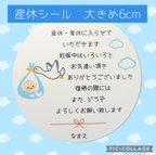 作品♥新作♥大きめ6cm♥産休シール24枚♥コウノトリブルー♥こうのとり♥ハイグレードタイプ♥