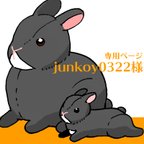 作品junkoy0322様専用ページ