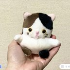 作品プチねこのぬいぐるみ