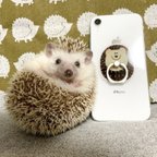 作品まんまるハリネズミのスマホリング