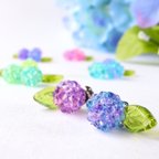 作品《ミニ１粒》紫陽花キャンディピアス  紫陽花 金平糖 フェイクスイーツ 雨 梅雨　小ぶり