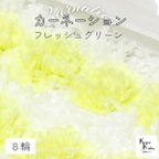 作品大地農園！ プリザーブドフラワー 「カーネーション　フレッシュグリーン　1箱（8輪）」プリザ ドライフラワー 花材 装飾 ハーバリウム 母の日 おしゃれ かわいい プレゼント 贈り物 オオチノウエン