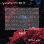 作品ayunatan529様専用ページ