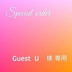 作品Guest U 様　専用