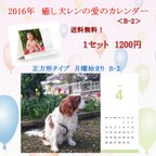 作品2016年　癒し犬レンの愛のカレンダー（B-２）