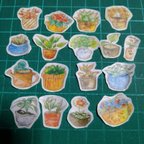 作品【送料無料】フレークシール65(植物・鉢植え1)