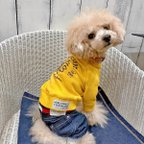 作品犬の服★わんちゃんの名前入りトレーナーはスポーツチーム風のネイティブアメリカンプリント!!【イエロー】