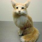 作品羊毛フェルト　猫　優しい雰囲気の猫≪オーダー品≫（1613）