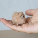 作品ミニミニポメラニアン　tiny Pomeranian