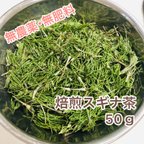 作品無肥料・無農薬 岐阜県産 スギナ茶 50ｇ