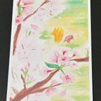 作品大きな桜の樹