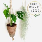 作品大人気Green setモンステラ　スパニッシュモス　ハンギング　アロマ鉢　受け皿キャップ付き　壁掛け 観葉植物　インテリア