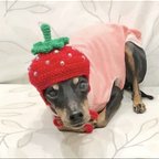 作品小型犬用   いちご🍓ちゃん帽子 （つぶつぶビーズタイプ）Lサイズ