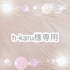 作品h-karu様専用ページ