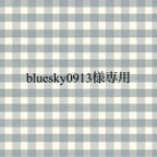 作品bluesky0913様