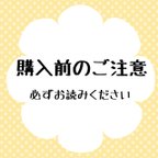 作品◆購入前に必ずお読み下さい◆