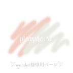 作品𓅯wonder様専用ページ𓅯