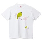 作品 Cotolyrica 春告鳥 うぐいす色の メジロ Tシャツ 野鳥スケッチ 0536