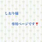 作品しおり様専用ページです❣️【ペットの毛で作る】イニシャルキーホルダー:誕生石付き、お名前付き